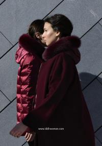 IDDI cover 2.jpg